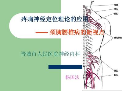 脊髓节段性理论的应用